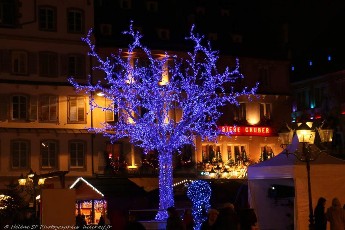 Belle Vue Appartement Strasbourg